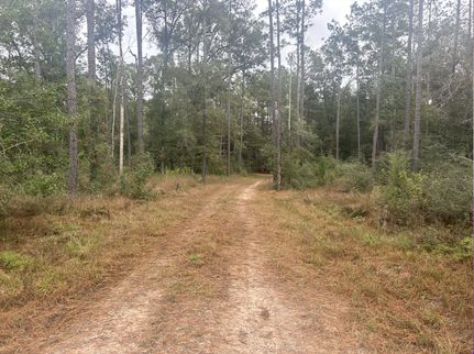 Property in Tyler County, Texas