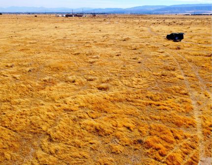 Property in Kern County, California