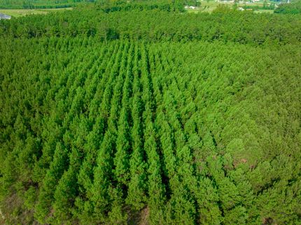 Property in Horry County, South Carolina