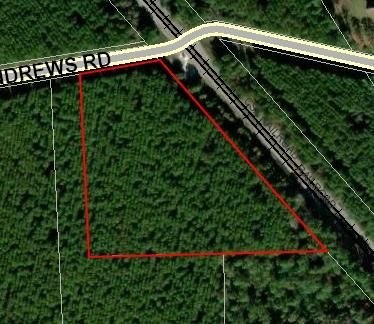 Undeveloped Land for sale in Nassau County, Florida