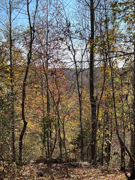 Property for sale in Lewis County, Tennessee