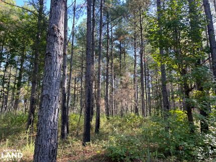 Property in Lamar County, Alabama