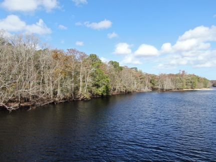 Timberland Property for sale in Marion County, South Carolina