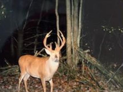 Property in Marinette County, Wisconsin