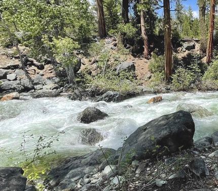 Property in Alpine County, California