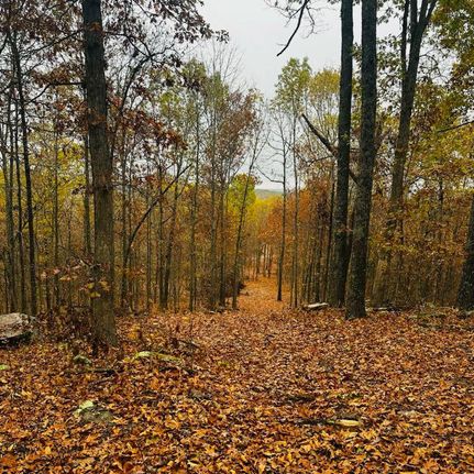 Hunting Land for sale in Douglas County, Missouri
