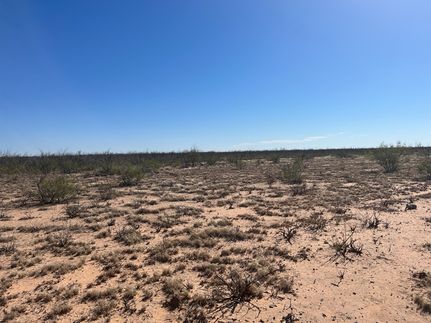 Property in Upton County, Texas