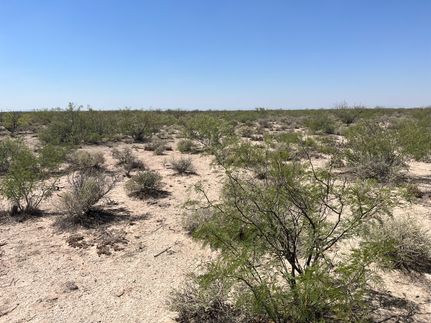 Property for sale in Reeves County, Texas