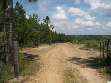 Property for sale in Monroe County, Alabama
