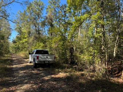 Property in Beauregard Parish, Louisiana