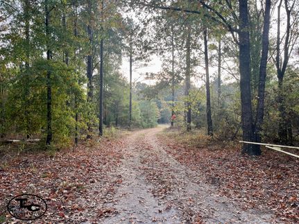 Property in Dallas County, Alabama