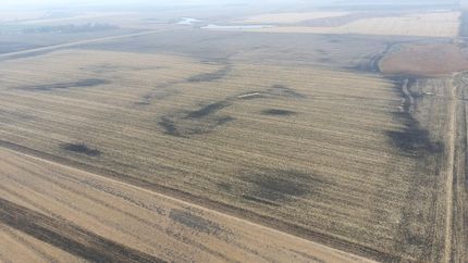 Property in Stevens County, Minnesota