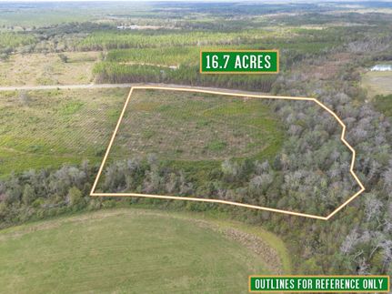 Property in Brantley County, Georgia