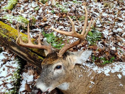 Property in Rensselaer County, New York