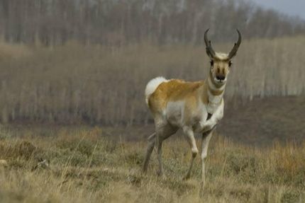 Property for sale in Costilla County, Colorado