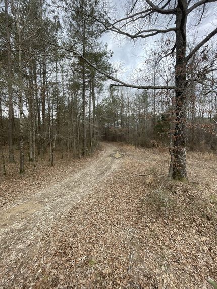 Property for sale in Lincoln County, Arkansas