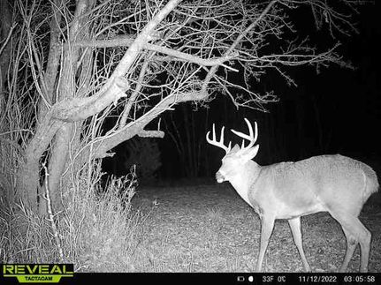 Property in Kewaunee County, Wisconsin