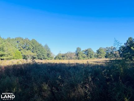 Property in Henry County, Alabama