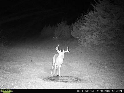 Property in Thurston County, Nebraska