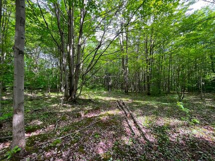 Property in Allegany County, New York