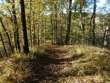 Property for sale in Yazoo County, Mississippi