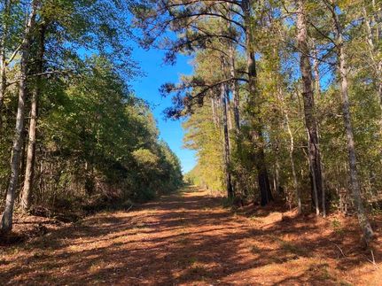 Property for sale in Dorchester County, South Carolina