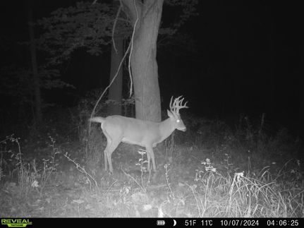 Property in Bates County, Missouri