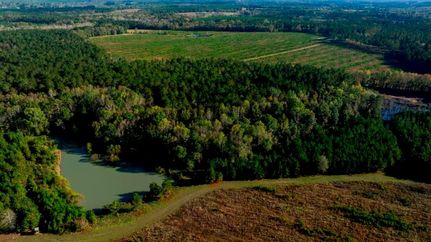 Property in Screven County, Georgia