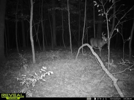 Property in Polk County, Wisconsin