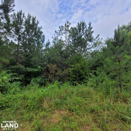 Property in Marion County, Alabama