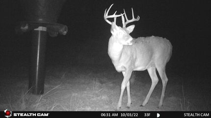 Property in Woods County, Oklahoma