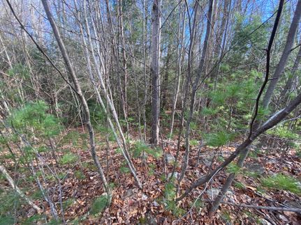 Property in Worcester County, Massachusetts