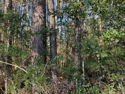 Property in Jackson County, Mississippi