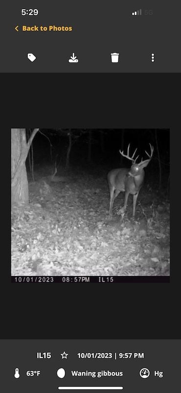 Property in Cumberland County, Illinois