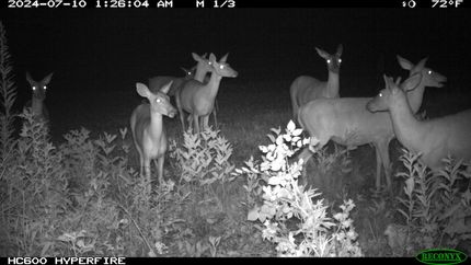 Property in Jackson County, Alabama