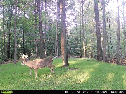Property in Owen County, Indiana