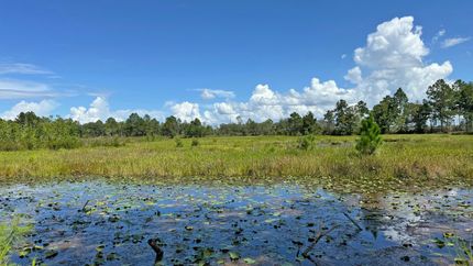 Property for sale in Putnam County, Florida