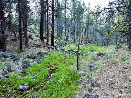 Property for sale in Modoc County, California