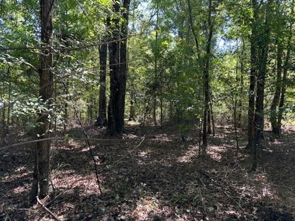 Property for sale in Jefferson County, Mississippi