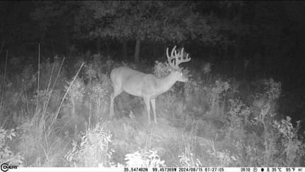 Property in Roger Mills County, Oklahoma