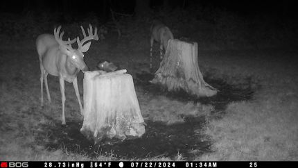 Property in Harrison County, Iowa