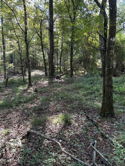 Property in East Baton Rouge Parish, Louisiana