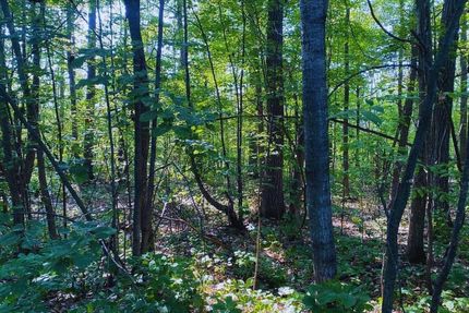 Property in Morrison County, Minnesota