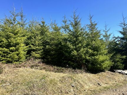 Property in Washington County, Oregon