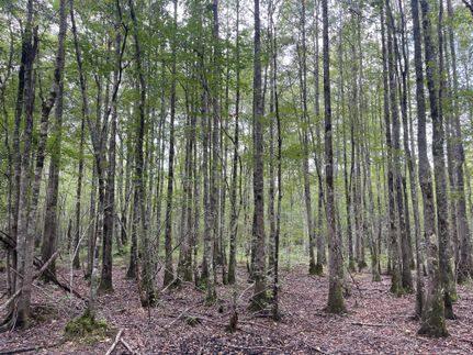 Recreational Property for sale in Lamar County, Alabama