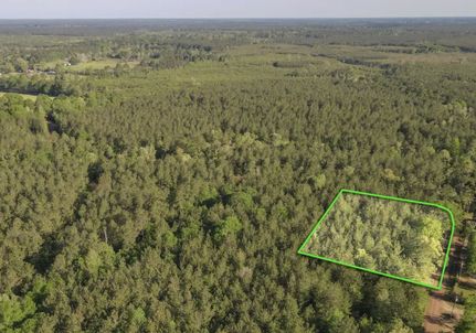 Property in Tyler County, Texas