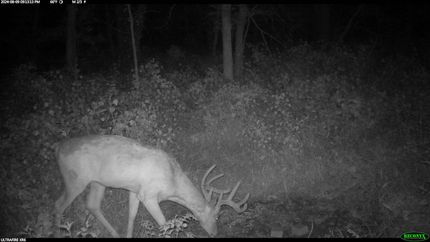 Property in Daviess County, Missouri