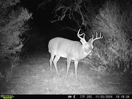 Property in Duval County, Texas