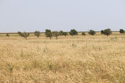 Property in Hale County, Texas