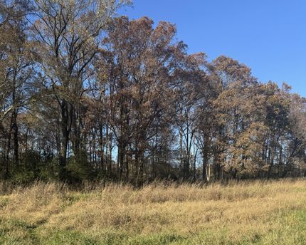 Property for sale in Oconee County, Georgia